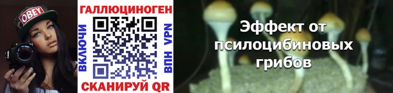 Купить  Мегион  Галлюциногенные грибы Cubensis 